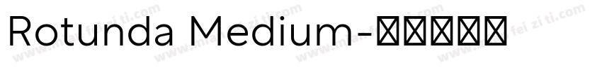 Rotunda Medium字体转换